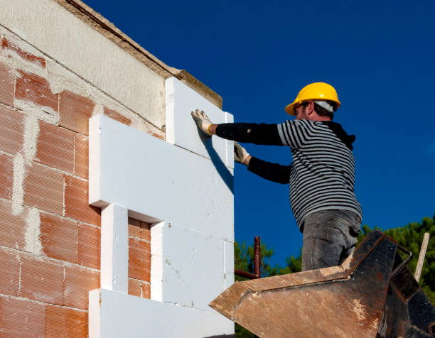 Best Commercial Insulation in Elgin, MN