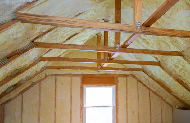 Best Insulation Maintenance and Repair in Elgin, MN
