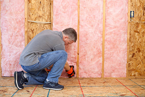 Best Types of Insulation in Elgin, MN